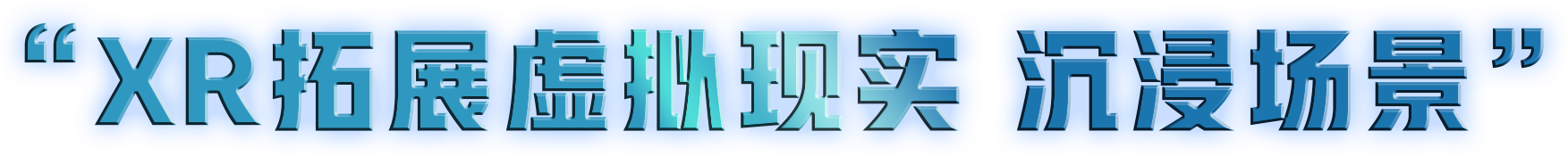 描述
