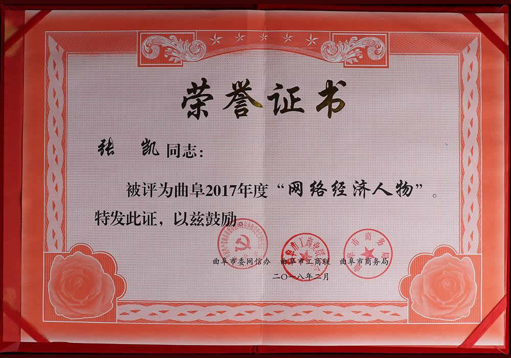 2017年度“網絡經濟人物”