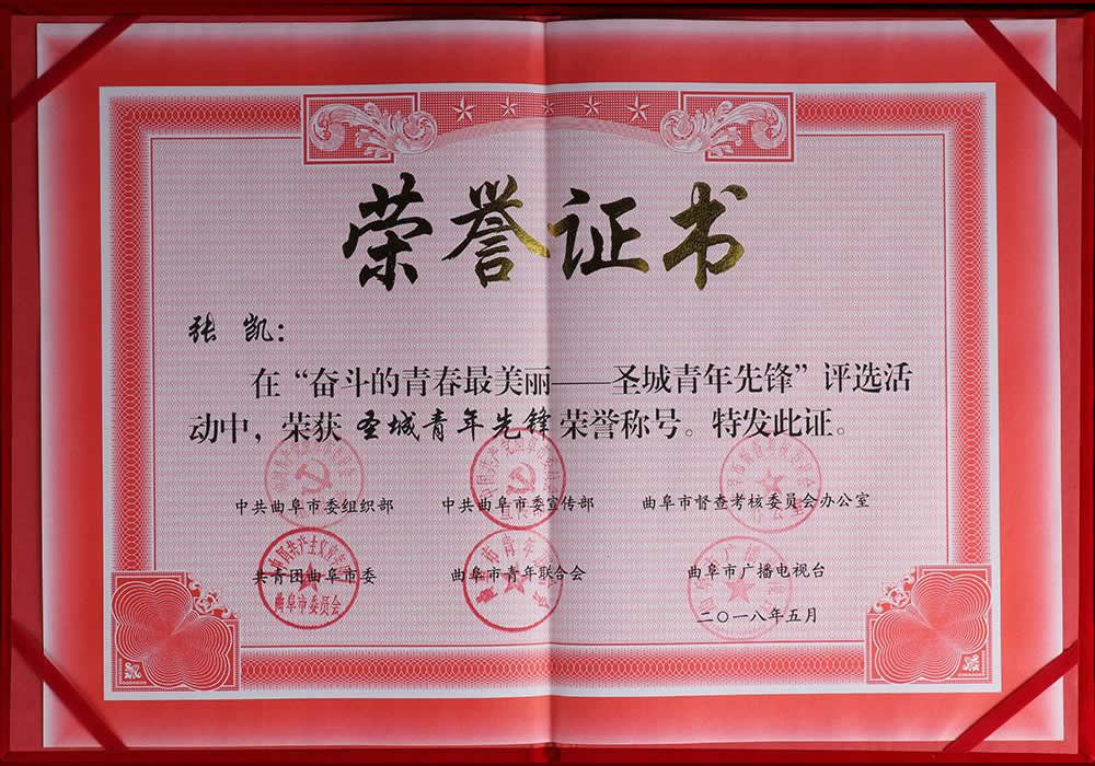 獲圣城青年先鋒榮譽稱號