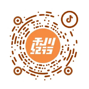 描述