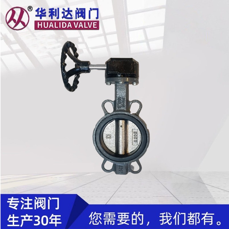 涡轮对夹蝶阀
