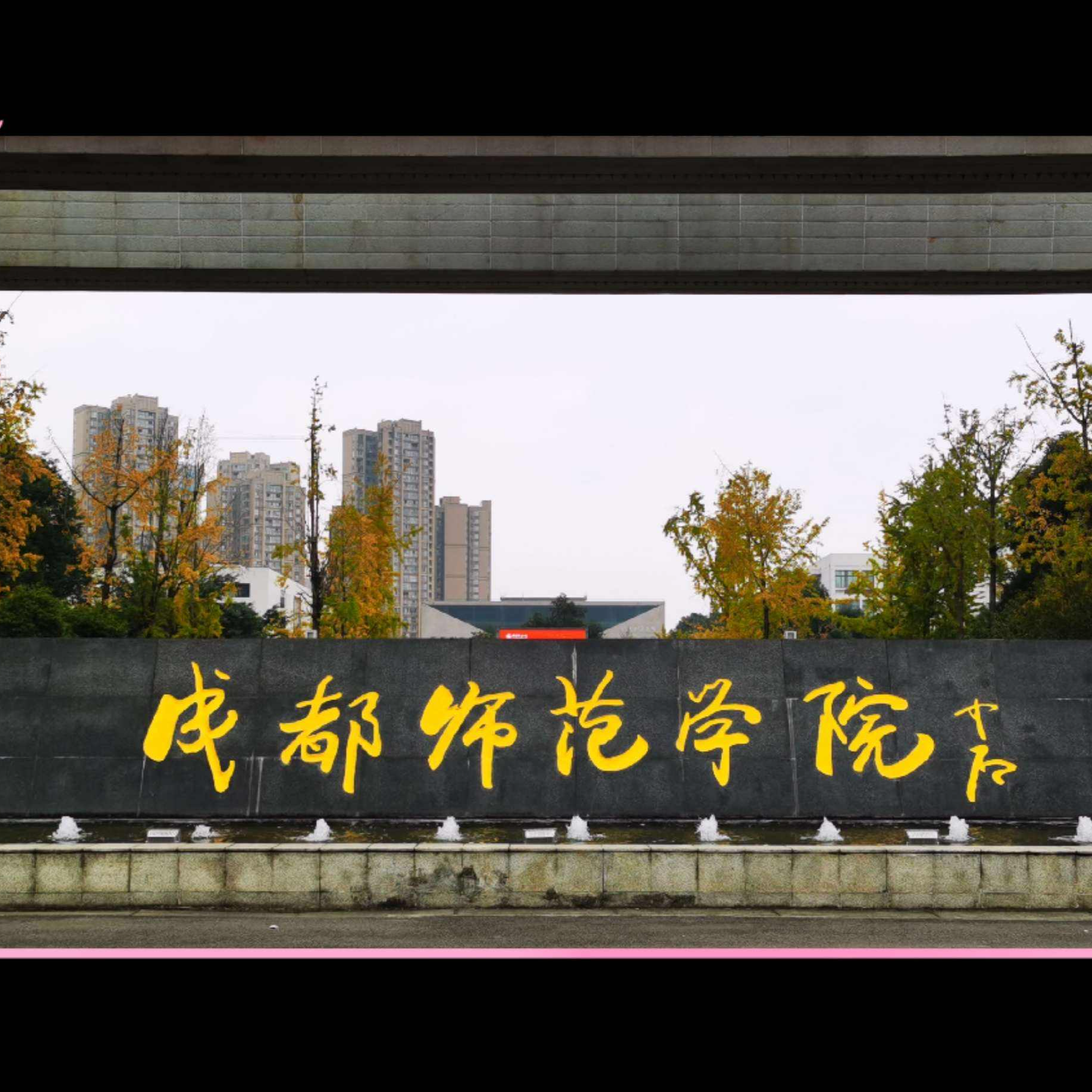 成都师范学员 艺术教育