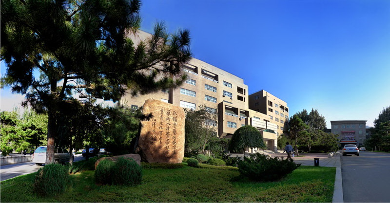 鲁迅美术学院 视觉传达设计