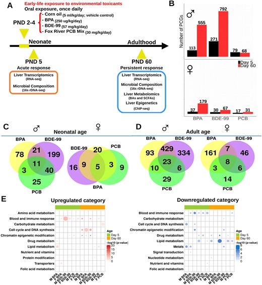 Neonatal Exposure to BPA, BDE-99, and PCB Produces Persistent Changes in Hepatic Transcriptome Assoc...