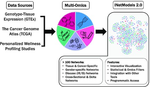 INetModels 2.0: An interactive visualization and database of multi-omics data