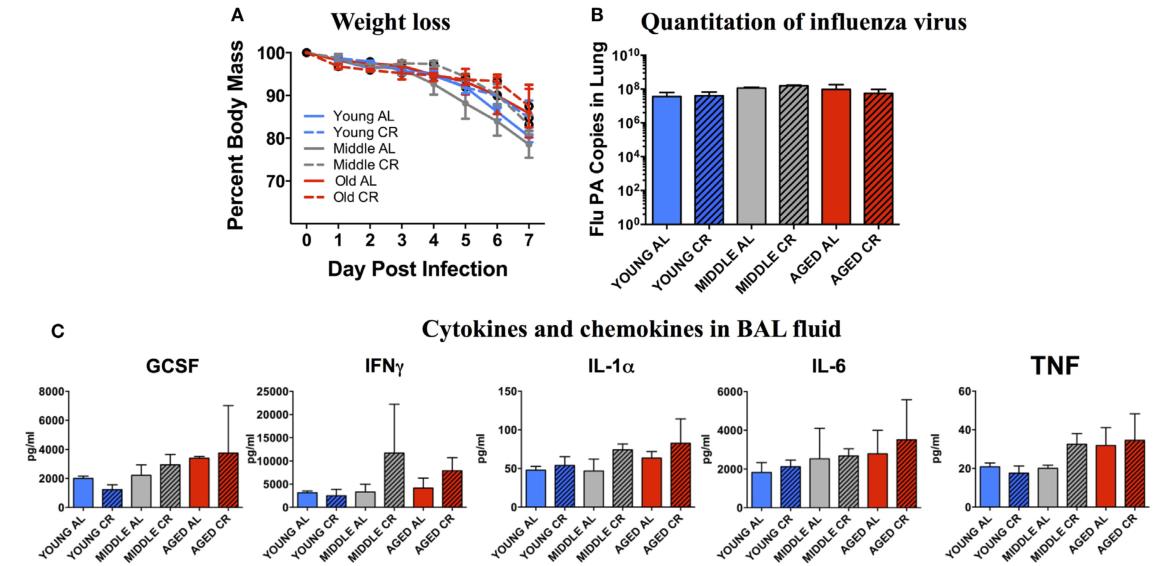 impact of age, caloric restriction, and influenza infection on Mouse gut Microbiome: an exploratory ...