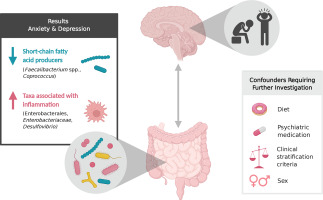 The gut microbiota in anxiety and depression – A systematic review
