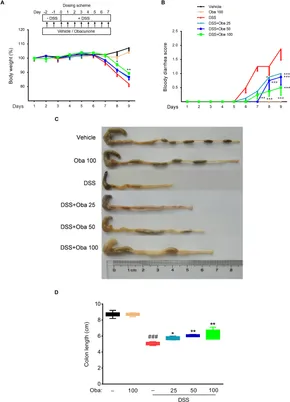 Obacunone Protects Against Ulcerative Colitis in Mice by Modulating Gut Microbiota, Attenuating TLR4...