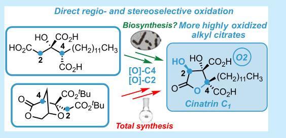 Synthesis of More Highly Oxidized Alkyl Citrates via Direct Regio- and Stereoselective Oxidation