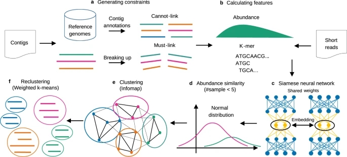 A deep siamese neural network improves metagenome-assembled genomes in microbiome datasets across different environments