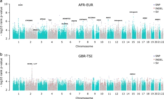 Human genomic regions with exceptionally high levels of population differentiation identified from 911 whole-genome sequ...