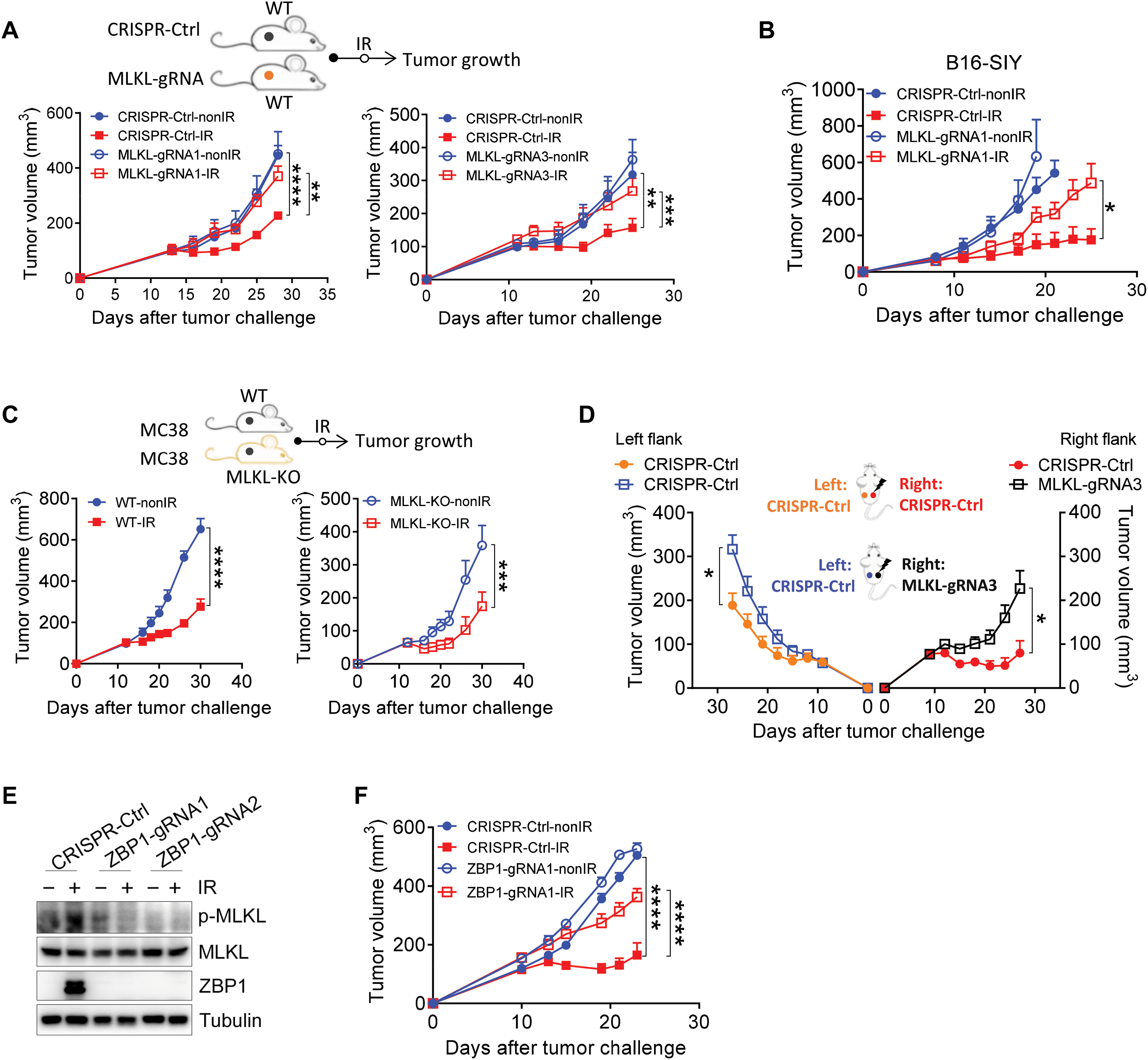 ZBP1-MLKL necroptotic signaling potentiates radiation-induced antitumor immunity via intratumoral STING pathway activati...