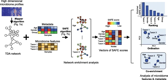 Tmap: An integrative framework based on topological data analysis for population-scale microbiome stratification and ass...