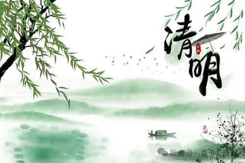 花开忆清明——二十四节气之清明