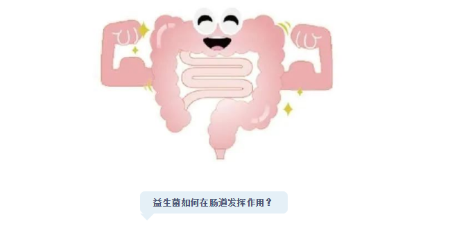 益生菌vs疾病的关系