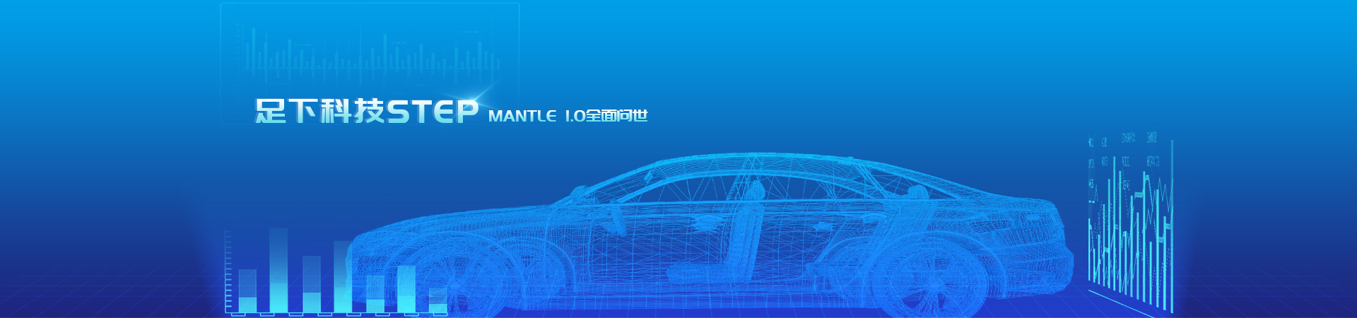 描述