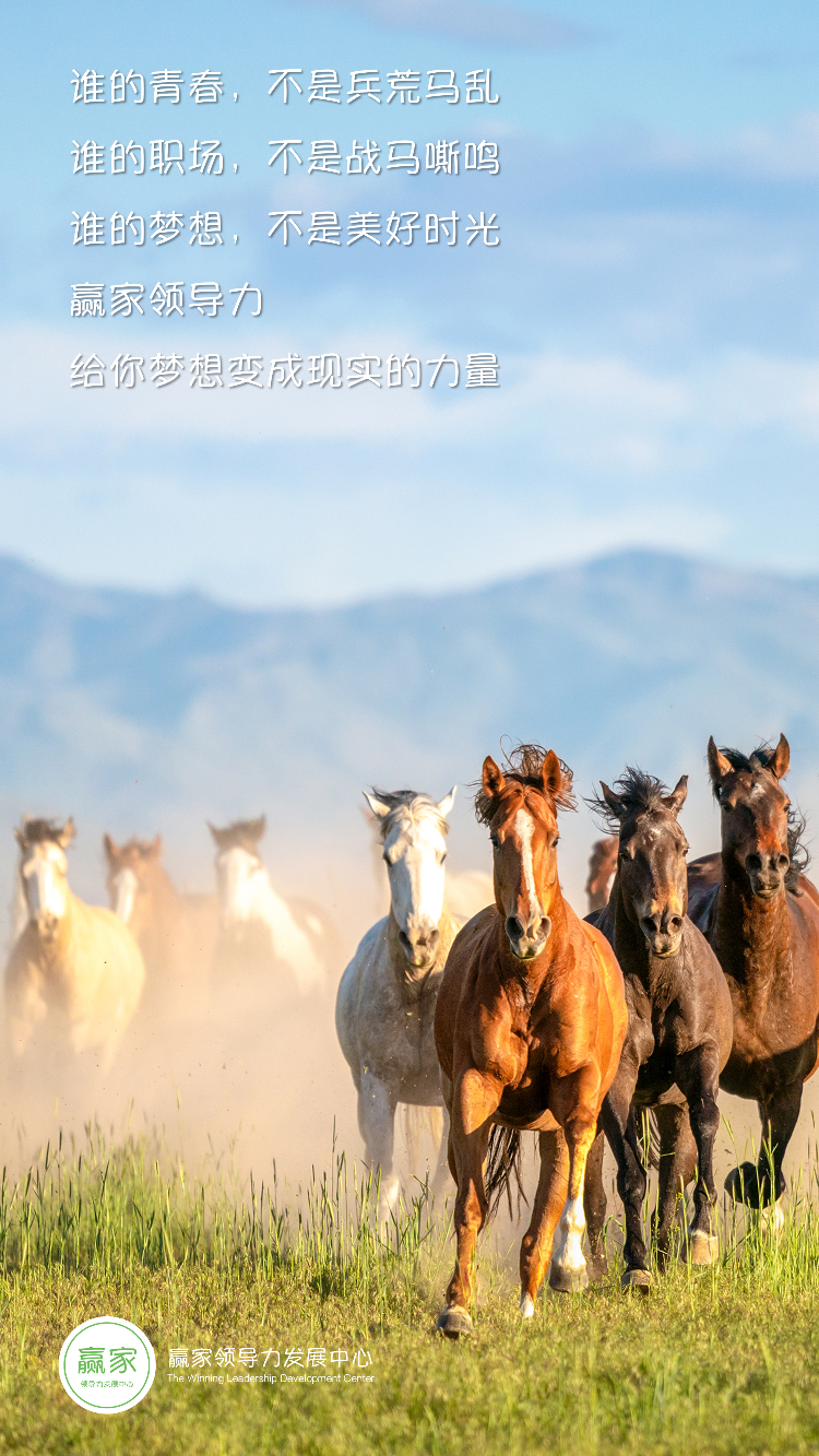 谁的青春，不是兵荒马乱