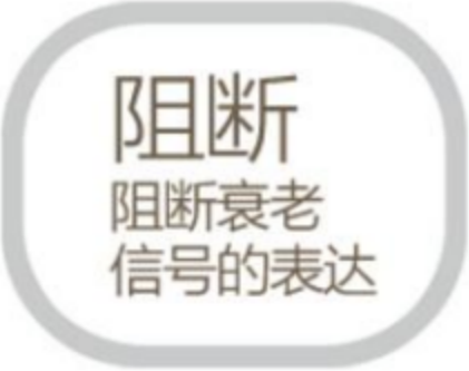 描述