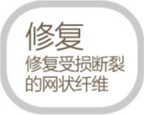 描述