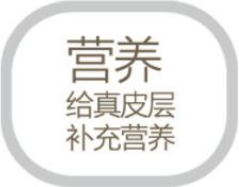 描述