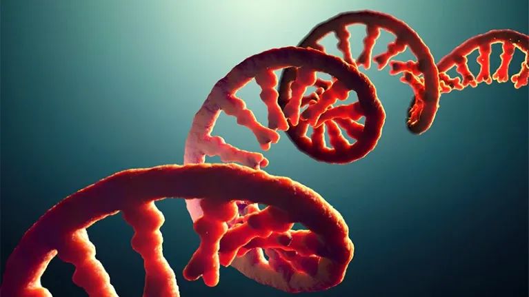 Nature | RNA编辑：有望超越CRISPR的未来疗法