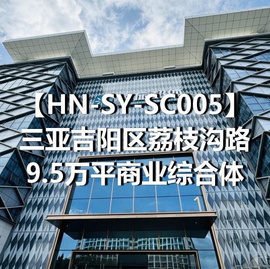 HN-SY-SC005三亚吉阳区荔枝沟路9.5万平商业综合体