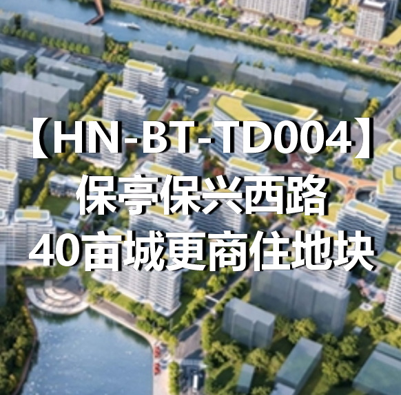 HN-BT-TD004保亭保兴西路40亩城更商住地块