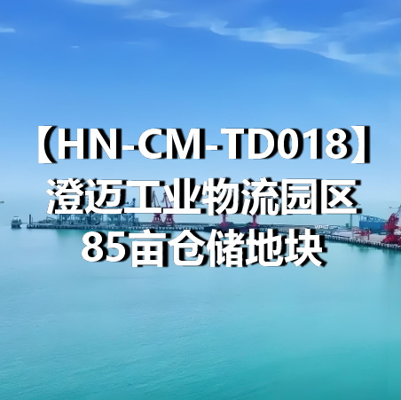 HN-CM-TD018澄迈工业物流园区85亩仓储地块