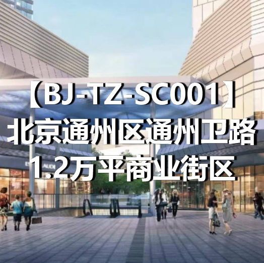 BJ-TZ-SC001北京通州区通州卫路1.2万平商业街区