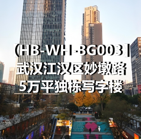 HB-WH-BG003武汉江汉区妙墩路5万平独栋写字楼