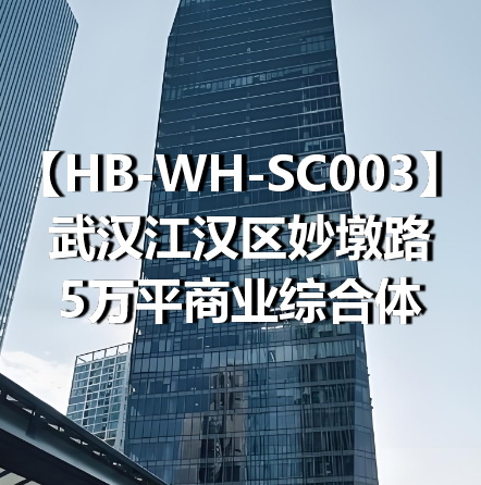 HB-WH-SC003武汉江汉区妙墩路5万平商业综合体