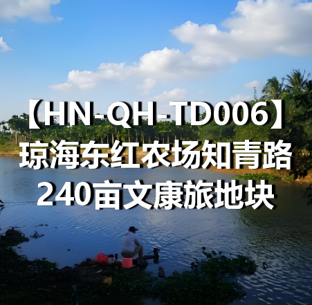 HN-QH-TD006琼海东红农场知青路240亩文康旅地块
