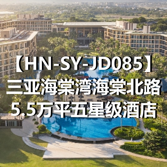 HN-SY-JD085三亚海棠湾海棠北路5.5万平五星级酒店