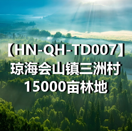HN-QH-TD007琼海会山镇三洲村15000亩林地