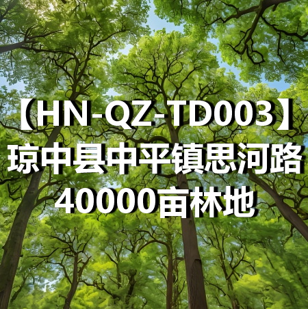 HN-QZ-TD003琼中县中平镇思河路40000亩林地
