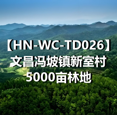 HN-WC-TD026文昌冯坡镇新室村5000亩林地