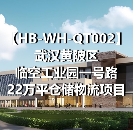 HB-WH-QT002武汉黄陂区临空工业园一号路22万平仓储物流项目