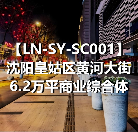 LN-SY-SC001沈阳皇姑区黄河大街6.2万平商业综合体
