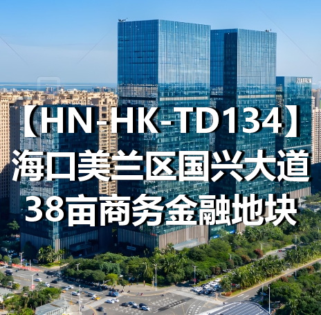 HN-HK-TD134海口美兰区国兴大道38亩商务金融地块