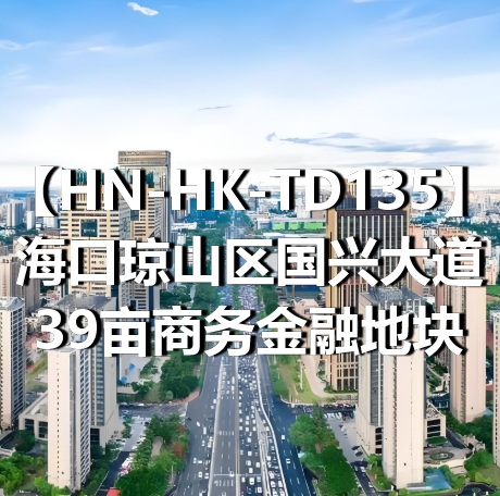 HN-HK-TD135海口琼山区国兴大道39亩商务金融地块