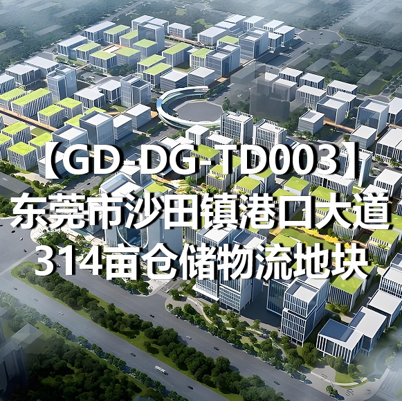 GD-DG-TD003东莞市沙田镇港口大道314亩仓储物流地块