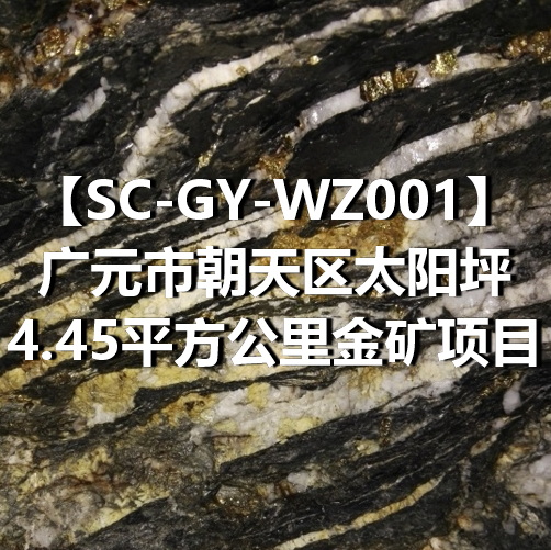 SC-GY-WZ001广元市朝天区太阳坪4.45平方公里金矿项目