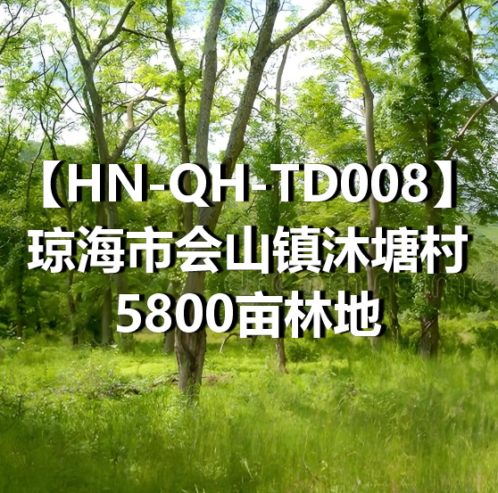 HN-QH-TD008琼海市会山镇沐塘村5800亩林地