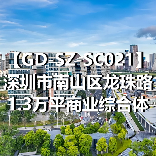 GD-SZ-SC021深圳市南山区龙珠路1.3万平商业综合体