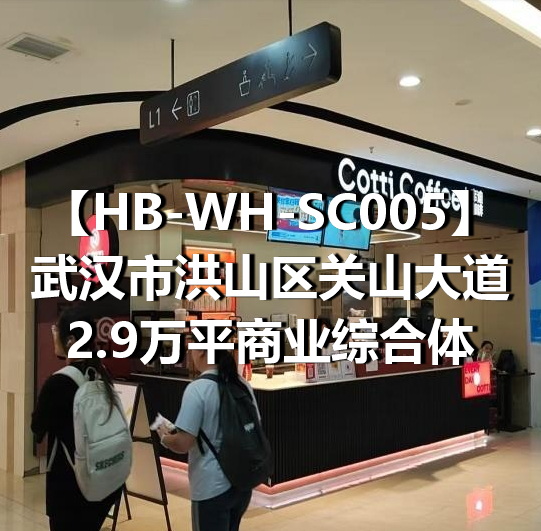 HB-WH-SC005武汉市洪山区关山大道2.9万平商业综合体