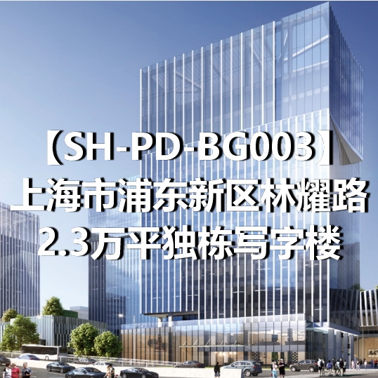 SH-PD-BG003上海市浦东新区林耀路2.3万平独栋写字楼