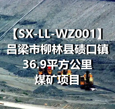 SX-LL-WZ001吕梁市柳林县碛口镇36.9平方公里煤矿项目