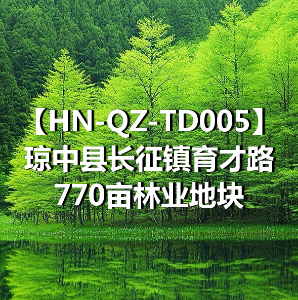 HN-QZ-TD005琼中县长征镇育才路770亩林业地块