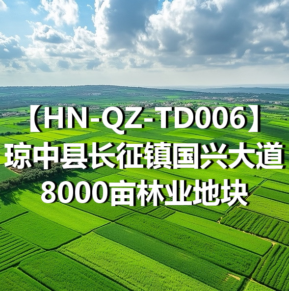 HN-QZ-TD006琼中县长征镇国兴大道8000亩林业地块