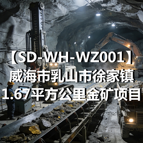 SD-WH-WZ001威海市乳山市徐家镇1.67平方公里金矿项目